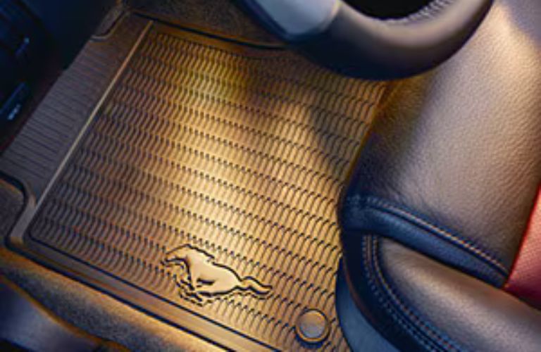 Ford floor mats close up